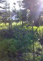 12042011228.webp