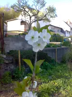 12042011227.webp