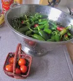 Copy of IMG_2203v.webp
