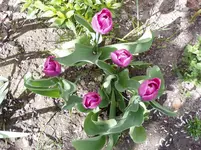 2011 04 14 019.webp