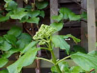 2011 04 14 020.webp