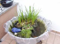 2011 04 14 027.webp