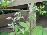 2011 04 14 030.webp