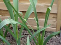 2011 04 14 039.webp