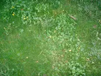 DSC00892.webp