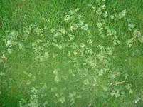 DSC00893.webp