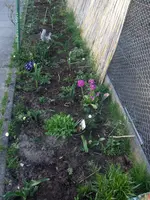 HPIM6323.webp