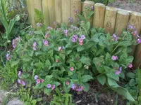 HPIM6320.webp