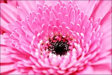IMG_0415.webp