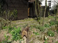 Wurzel und Trockenmauer.webp