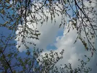 14.04.2011.061.webp