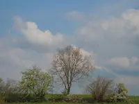 14.04.2011.066.webp
