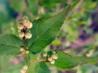 025.webp