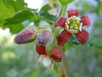 074.webp