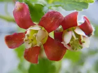 084.webp