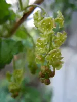 097.webp