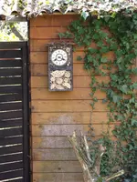 Uhr.webp