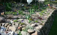 Hangbeet Mitte April.webp