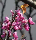 IMG_1758.webp