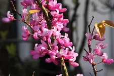 IMG_1756.webp