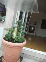 DSCF2668.webp