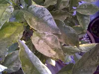 IMG-20110415-00119.webp
