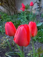 125.webp