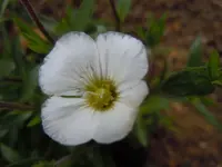 026.webp