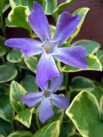 062.webp