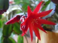 046.webp