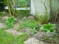 CIMG0809.webp