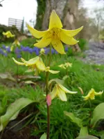 garten4.webp