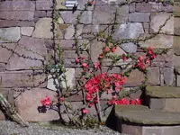 garten8.webp