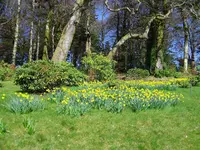 garten9.webp