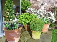 garten10.webp