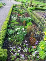 garten11.webp