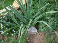 k-DSCF0043.webp