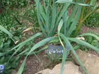 k-DSCF0044.webp