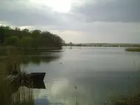 See.webp