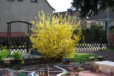 16.04.2011_2.webp