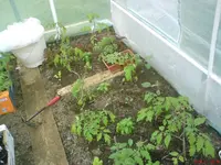 DSC00754.webp