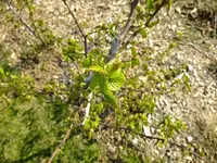 DSCF8170.webp