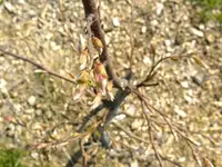 DSCF8171.webp