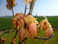 DSCF8172.webp