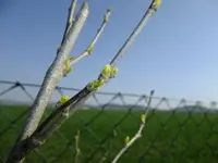 DSCF8179.webp