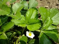 DSCF8184.webp