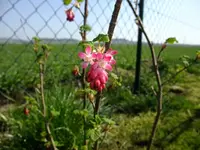 DSCF8187.webp