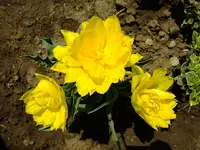 DSCF8189.webp