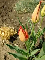 DSCF8191.webp