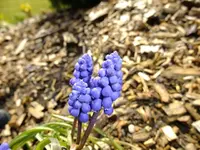 DSCF8194.webp